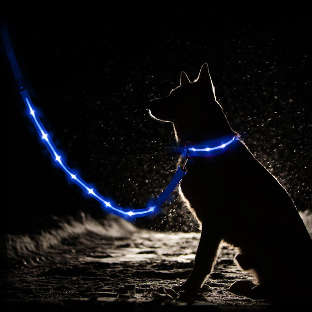 Guinzaglio LED USB ricaricabile