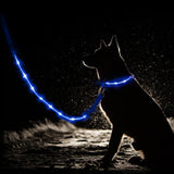 Guinzaglio LED USB ricaricabile