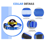 Collare LED Ricaricabile USB