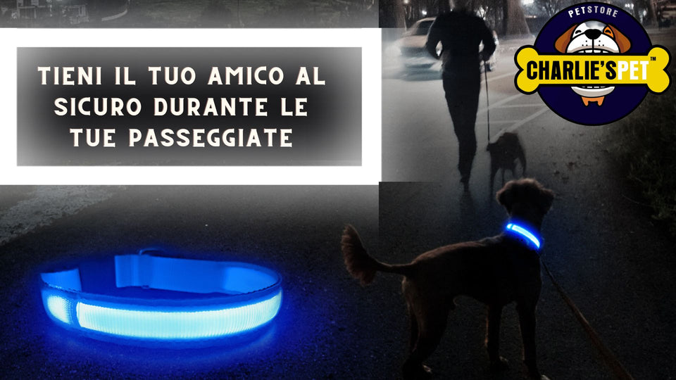 Collare LED Ricaricabile USB