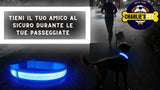 Collare LED Ricaricabile USB